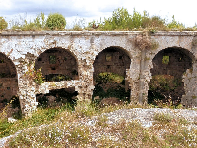 P1230260.JPG