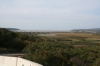 NATURSCHUTZGEBIET_SECOVELJSKE_SOLINE_IMG_7542.jpg