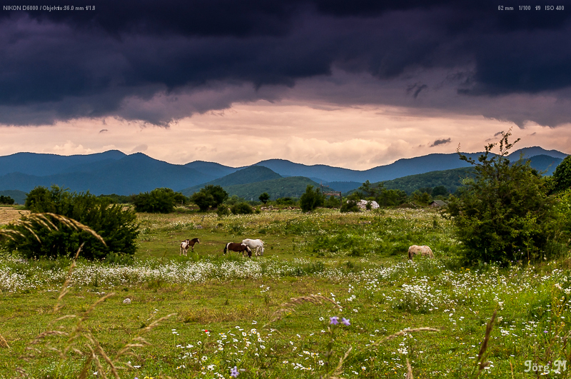 18._Juni_2014-DSC_5501.jpg