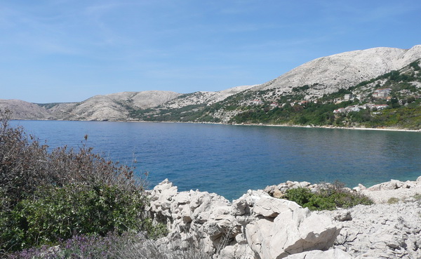 P1220942_Bildgre_ndern.jpg