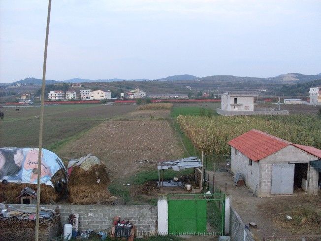 SDC11203.jpg
