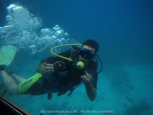 AquaVision5.JPG