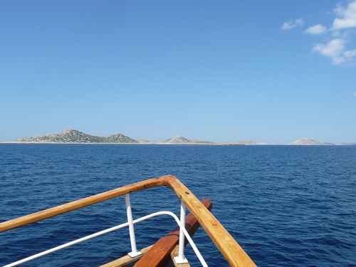 P1150036.JPG