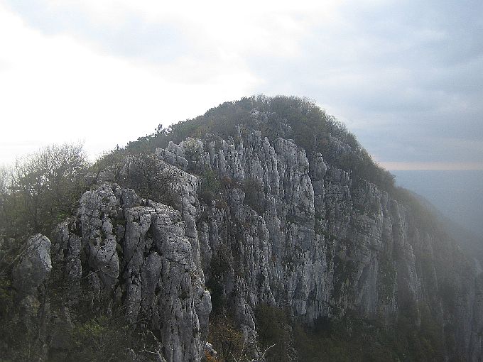 fasana_036.jpg