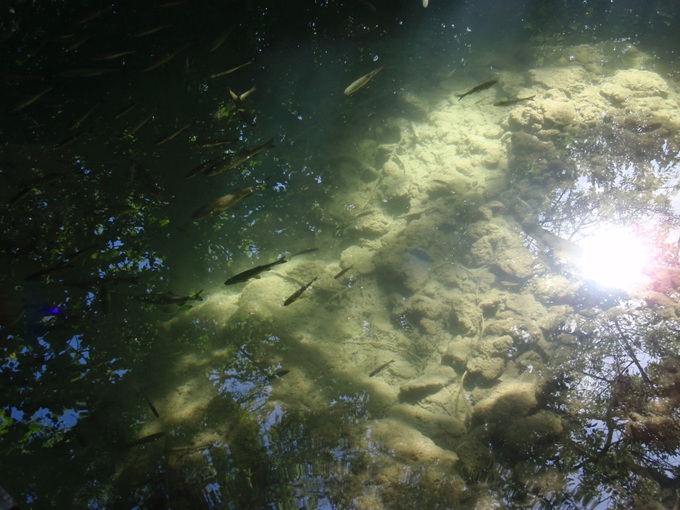 P1010237.jpg