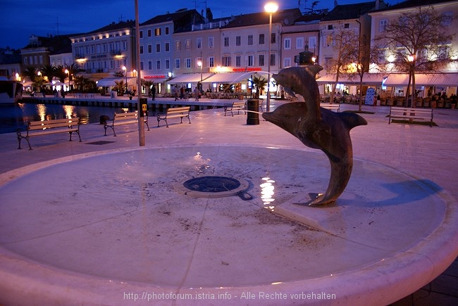 DSC01441-1.JPG