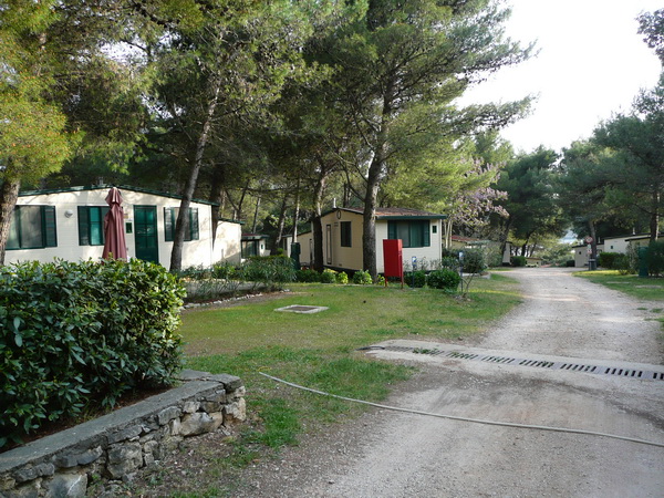 P1180765_Bildgre_ndern.JPG