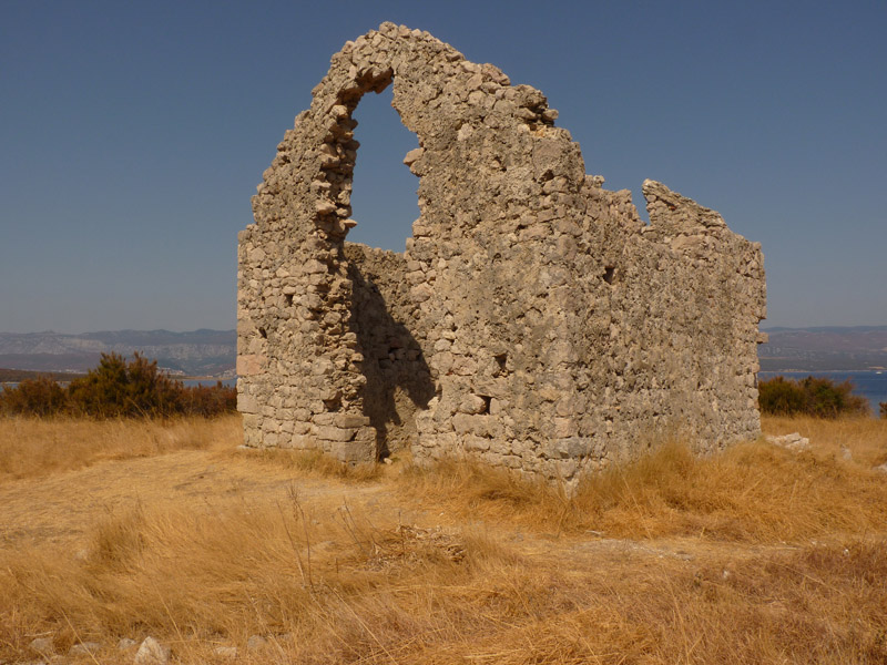 P1050482.jpg