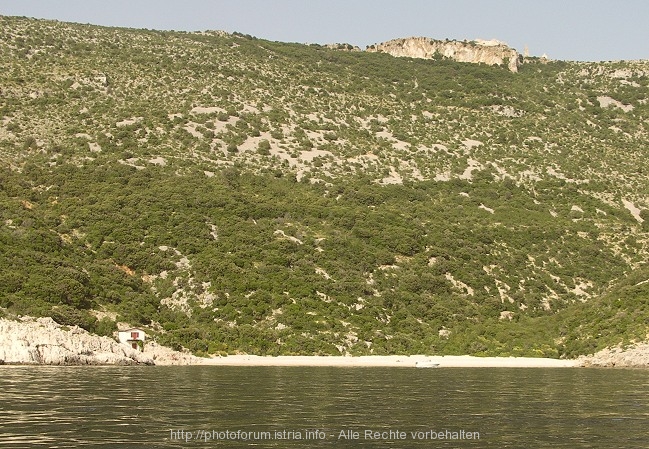 PICT6762-1.jpg