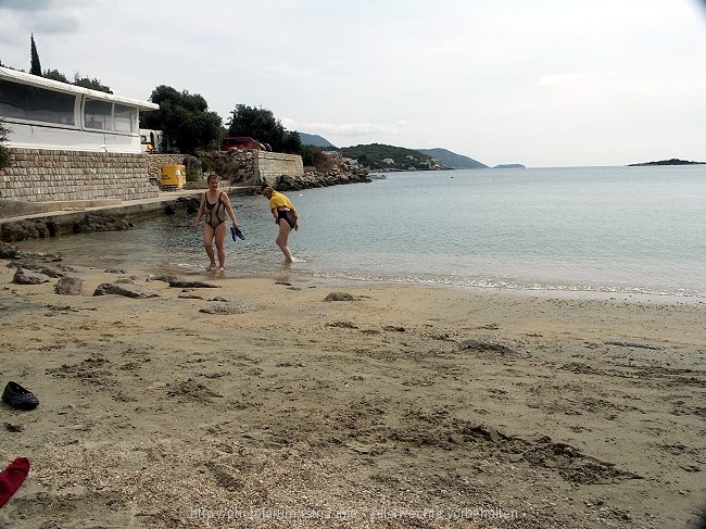 PICT2737-1.jpg