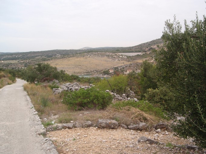 P1010399.jpg