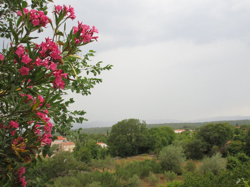 29591312lq.jpg