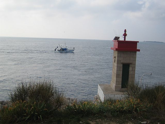 rtsel_a_3.jpg