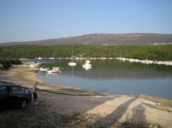 IMG_1575_1.jpg