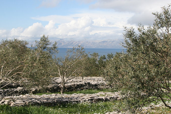 06_mindel_3.tag_tankarica_015_680.jpg