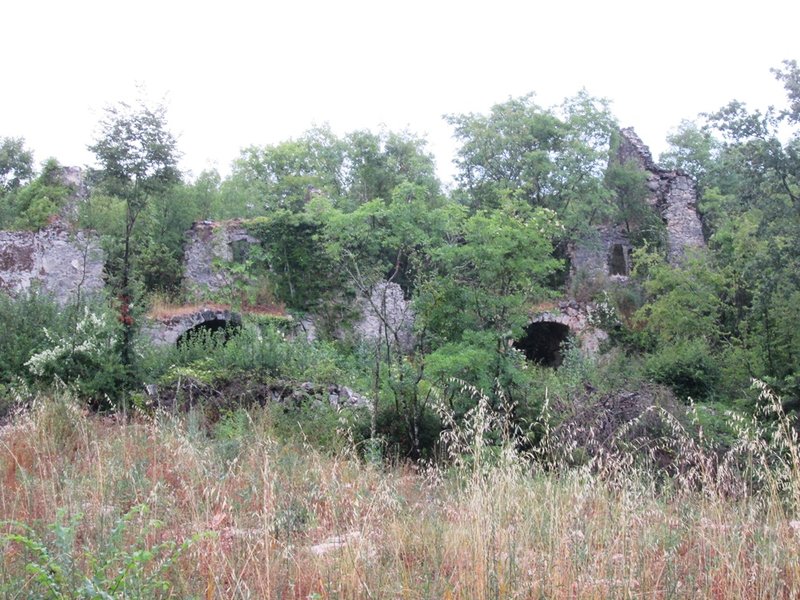 29629346qc.jpg