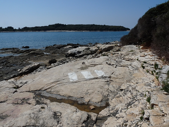 P1050290a.jpg