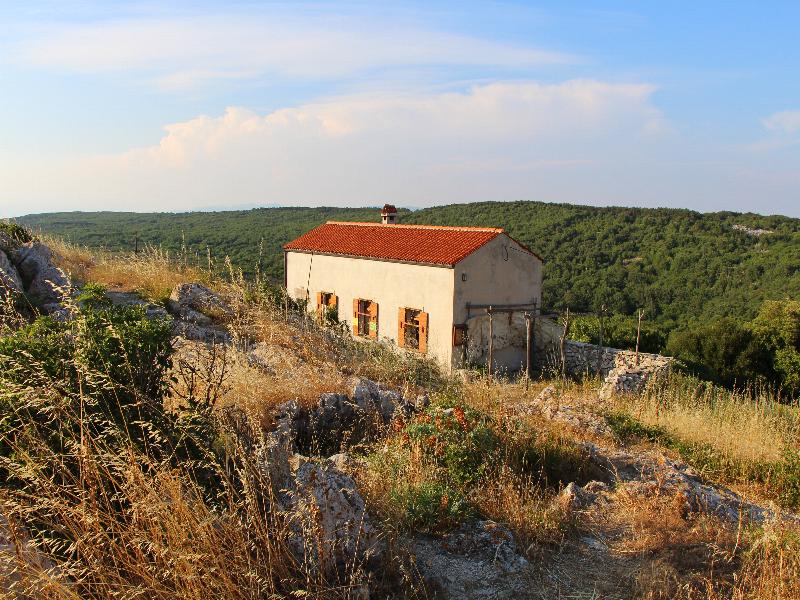 2014-7-88.jpg