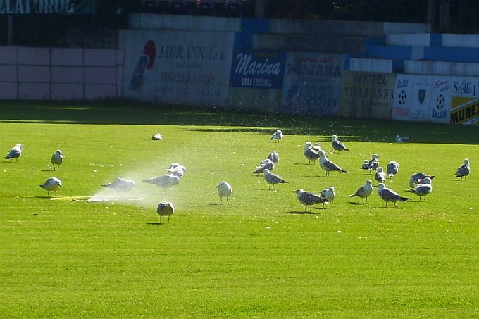 100_9018.JPG