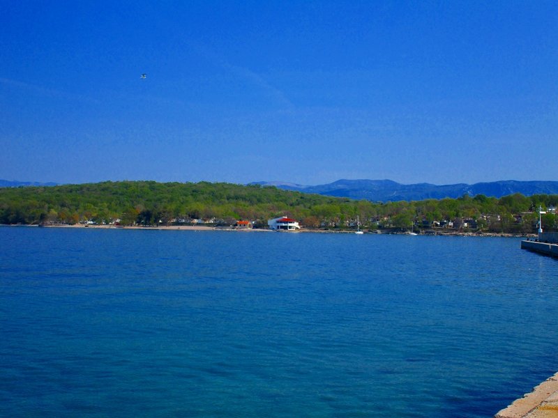 28908002mx.jpg