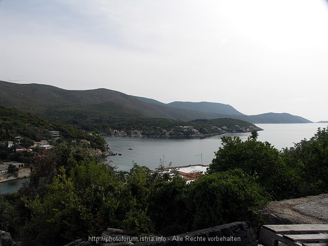 PICT2715-1.jpg