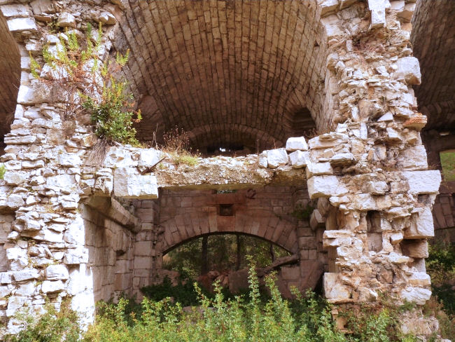 P1230244_2.JPG