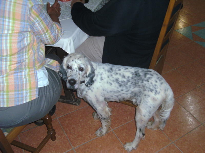 23072961bv.jpg