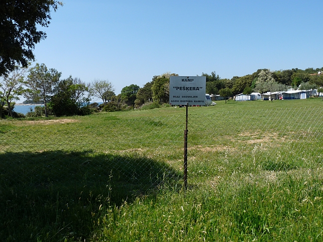 P1050289a.jpg