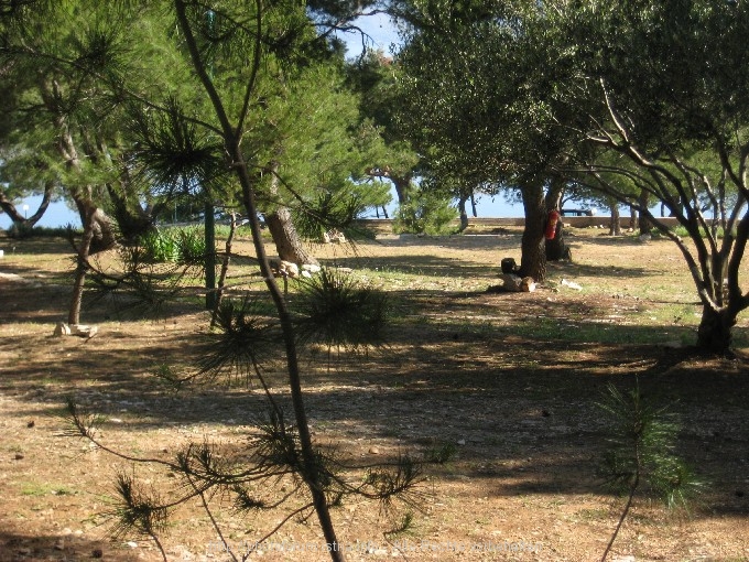 CP_Vrboska_006.jpg