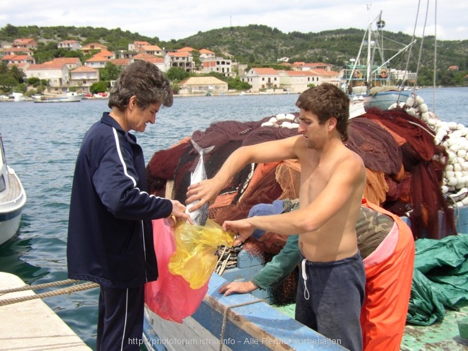 Fischkauf680.jpg
