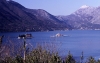 MNE_BOKA_KOTORSKA_Die_zwei_Inseln_u1983-0163.jpg