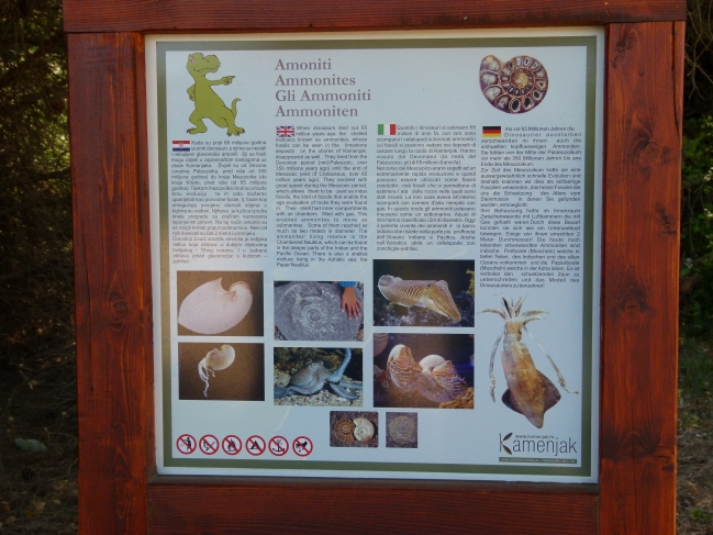 P1020720.JPG