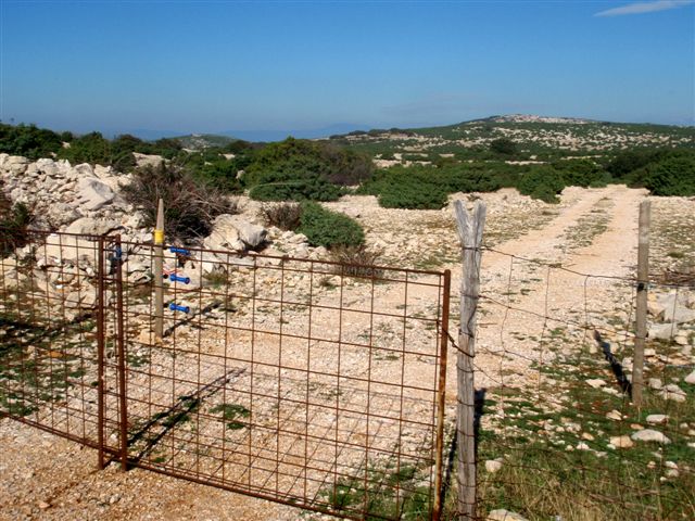 PA011525.jpg