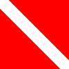 100px-ICS_Diver.svg.png