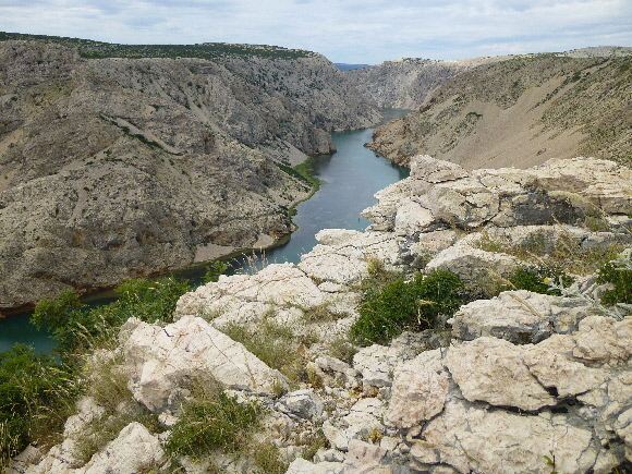P10805341.jpg