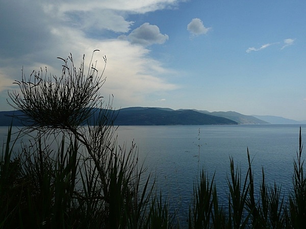 P1020049.JPG
