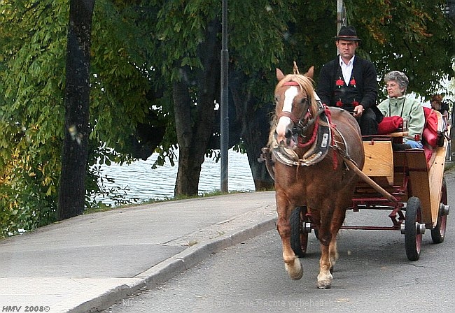 BLED_2008IMG_9231.jpg