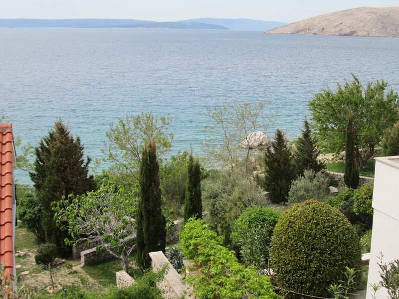 28878550ip.jpg