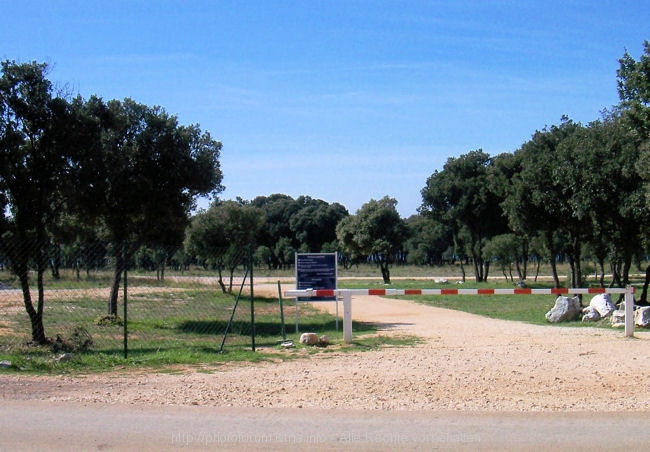 Barbariga_2673.JPG