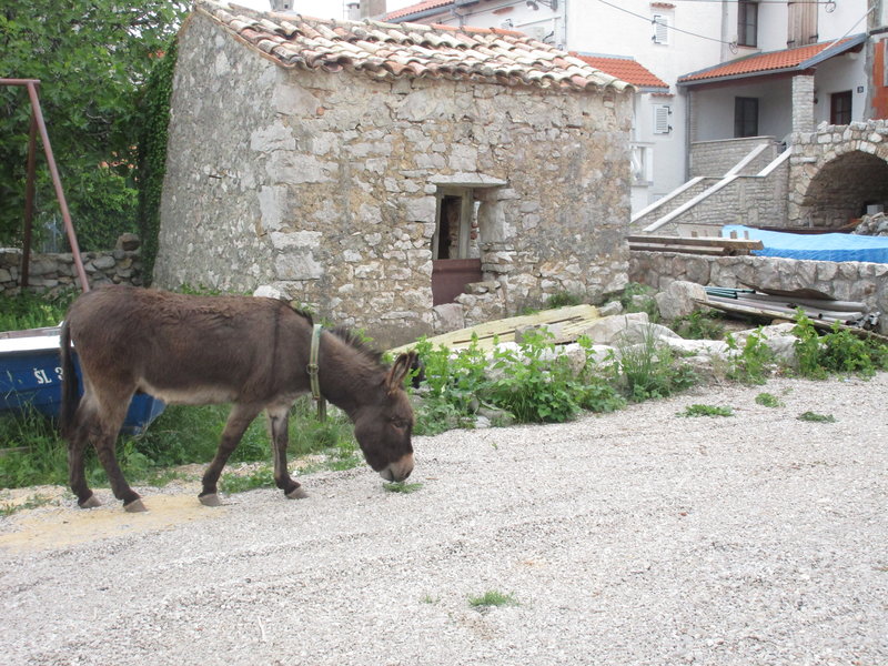 29004943ne.jpg