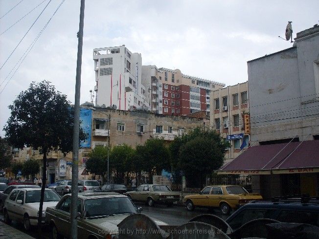 SDC11136.jpg