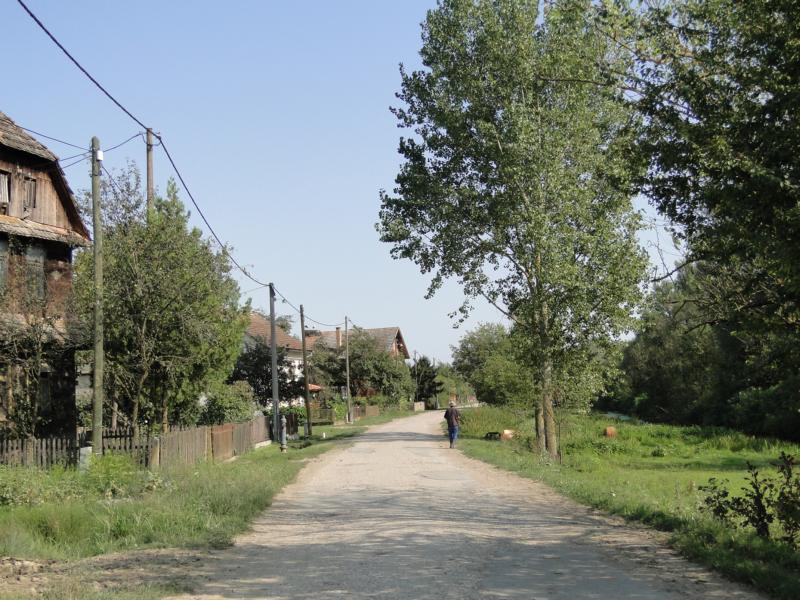 K800_299.jpg