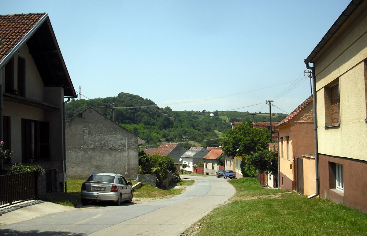 f11739433t527251p7771504n2.jpg