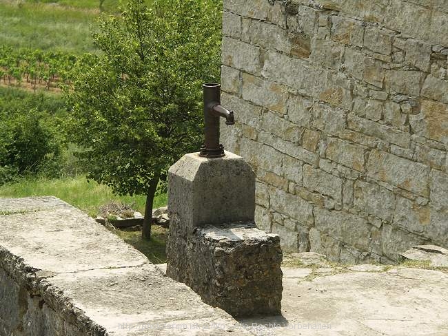PICT1560.jpg