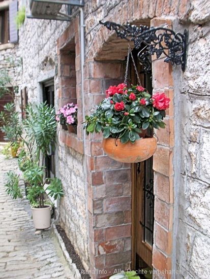 100_9573.JPG