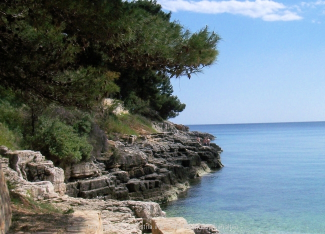 Lungo_017.jpg