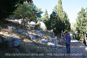 TRIBUNJ_Kreuzweg_zur_Sv_Nikola_IMG_1404.jpg