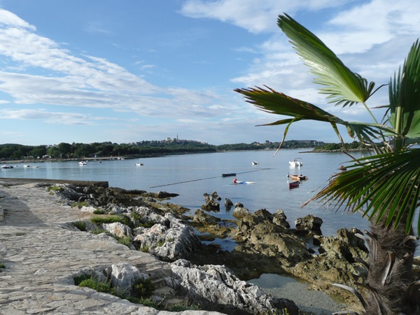P1010439.JPG