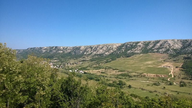 29061240rq.jpg