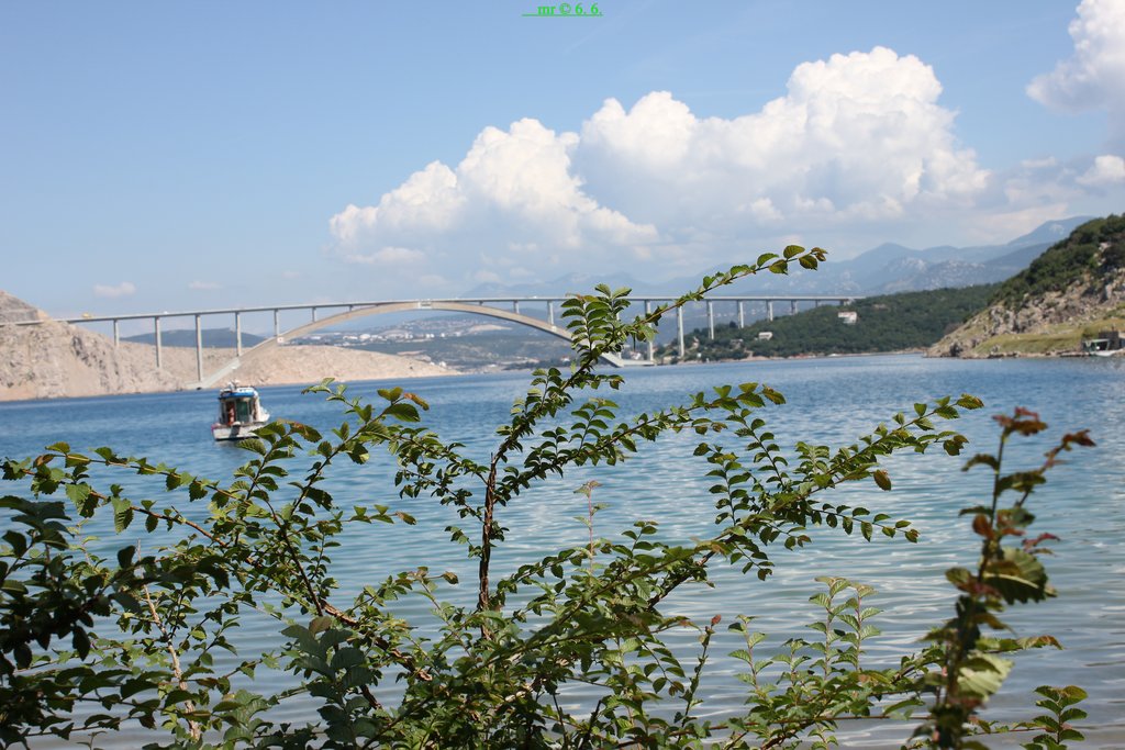32901119kj.jpg